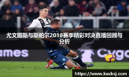 mk体育官网入口
