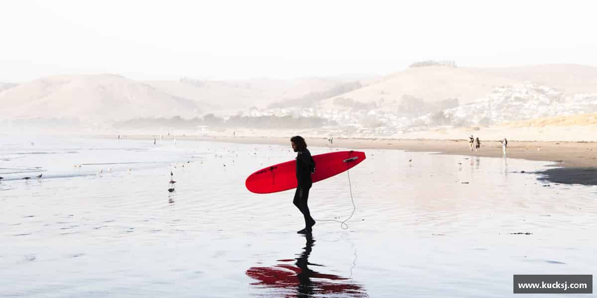 了解MK体育恩波利